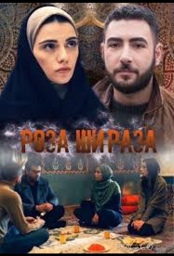 Роза Шираза 1 197